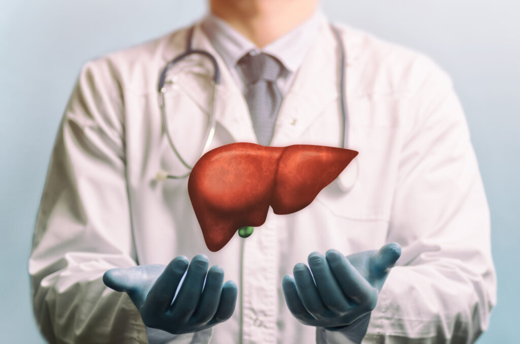 doctor holding liver
